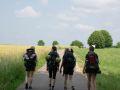 dofe-6