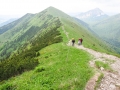 2014_fatra_070