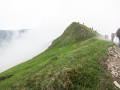 2014_fatra_082