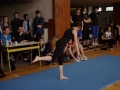 2013_gymnastika047