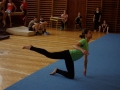 2013_gymnastika049