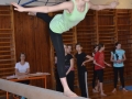 2014_gymnastika007