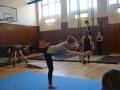 2014_gymnastika010