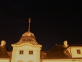 2019_Manetin09.jpg