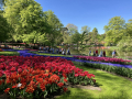 image_50786049_resize