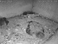 NVR-zarizeni2_20260620-094017_0_0