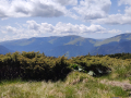 IMG_20250614_1431387401_resize