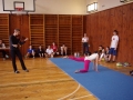 2015_zp_gymnastika22