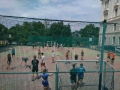 2019_ZP_Volejbal001.jpg
